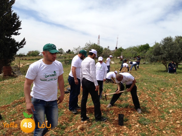 ludandyaffazaitoon (30).JPG